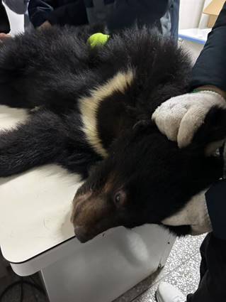 微信图片_20250313192652